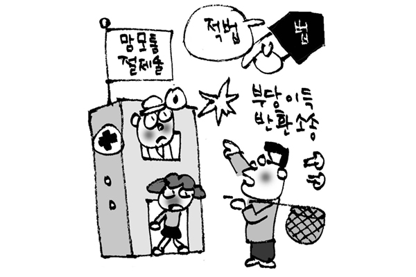 [판결] “맘모톰 시술도 실손보험 지급대상 된다” 서울중앙지법, 임의비급여라도 예외적 진료비 청구 인정