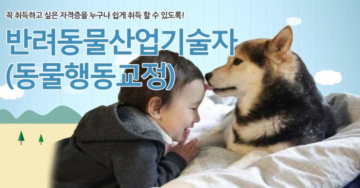 [정보]반려동물 행동교정 전문가