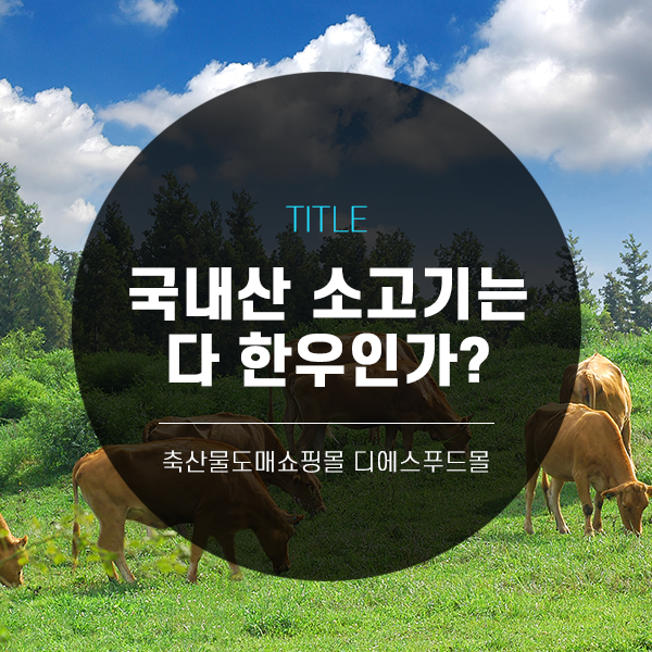 [디푸의 고기정보]국내산 소고기는 다 한우인가?