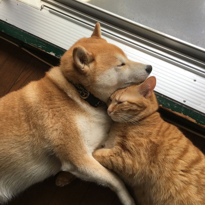  힐링짤