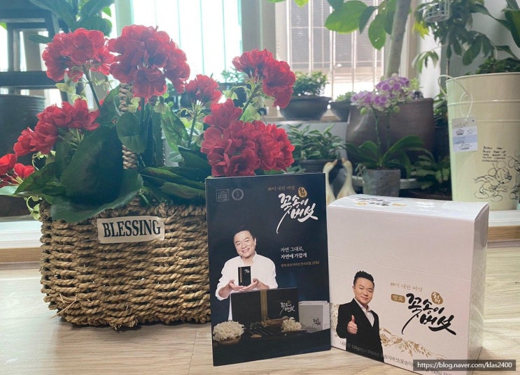  꽃송이버섯 : 부모님&기념일 선물 추천!