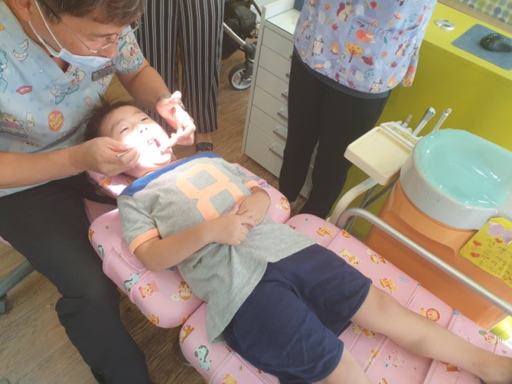  5살 아이 동탄 서울키즈치과에서 구강검진 받은 후기