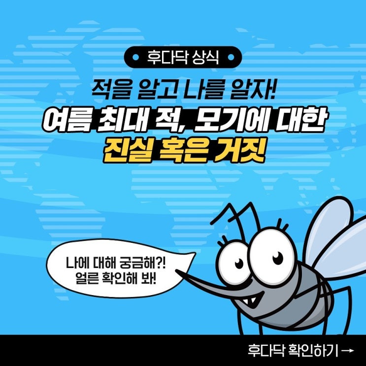 [후다닥 건강백서] 여름 최대의 적, 모기에 대한 진실 혹은 거짓...!