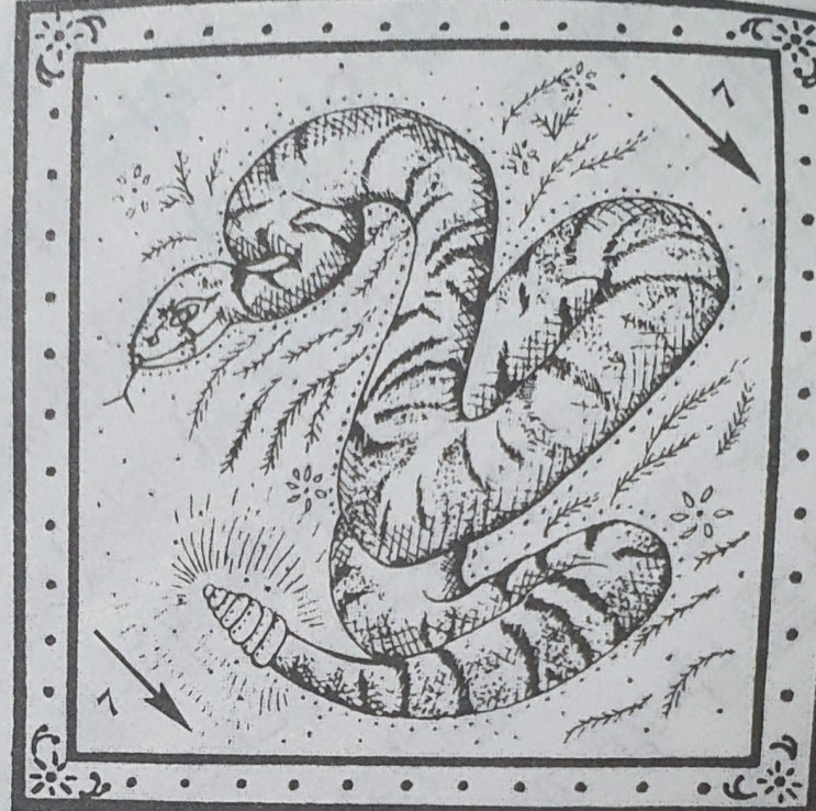  7. 뱀(SNAKE)의 의미