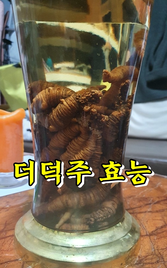  더덕 효능 및 더덕주 담그는법
