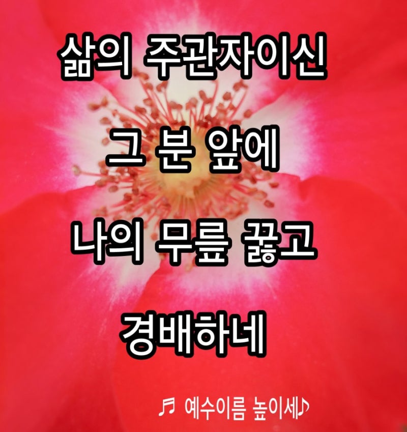 지노박 음악선교사, 마약을 끊어주신 하나님