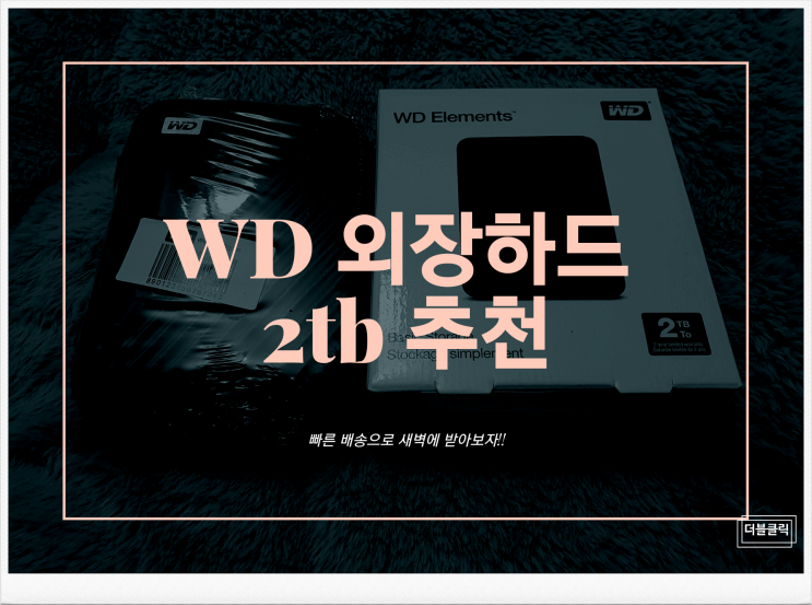  빠른 배송으로 새벽에 받아보자! WD 외장하드 2TB 추천 폴더 및 파일 정리하기