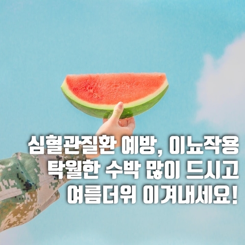  무더위 시작 소서_수박먹고 건강하게!