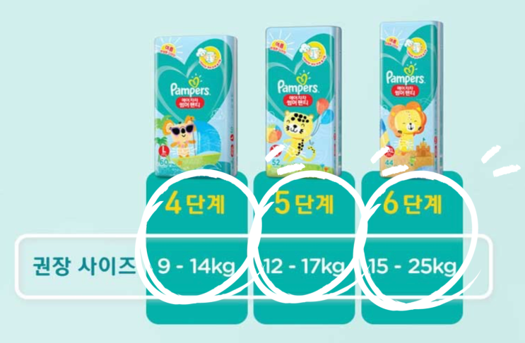  여름 기저귀로 팸퍼스 에어차차 6단계를 입혀야하는 이유