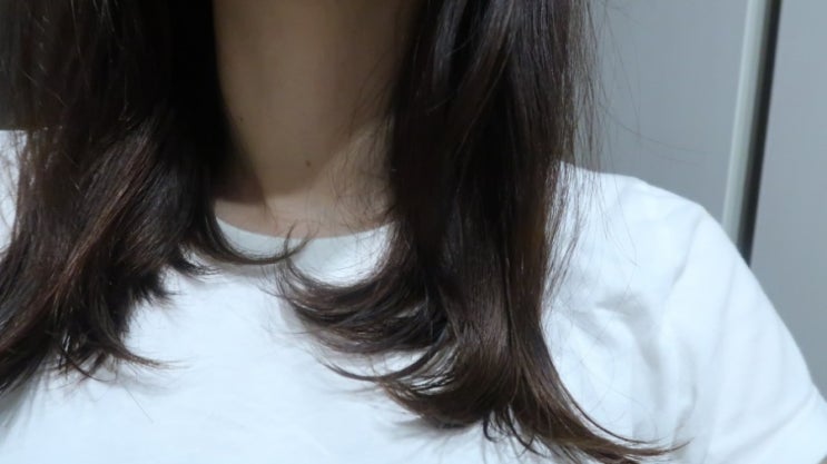  손상모 트리트먼트 아띠아 인리치 헤어 트리트먼트로 머릿결 복구 도전