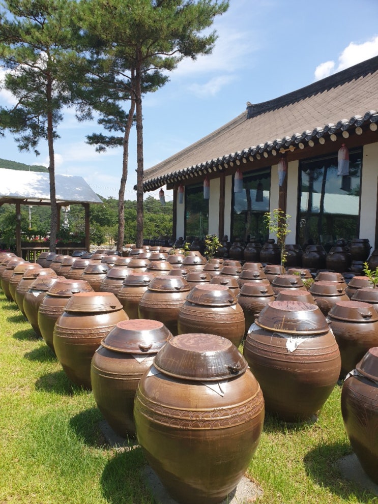  [모심정] 경북 문경시 소재 맛집을 소재합니다.