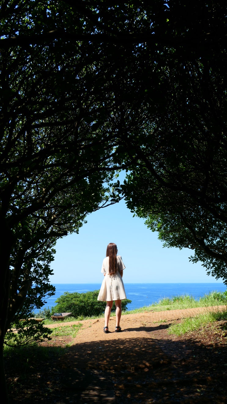 제주 여행 2일차 : 제주공항 근처 #우무 푸딩 #신설오름 몸국 #도두봉 #협재해수욕장