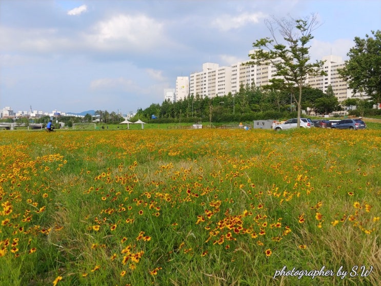  펫티켓 (Petiquette)과 펫 에 대한 예의 지키기(관람? 문화)