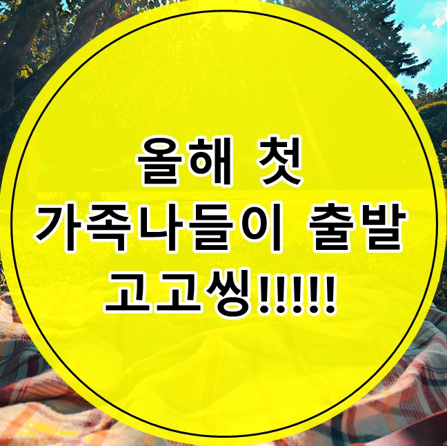  장흥자생수목원 전나무 숲에서 힐링했어요. [온라인 마케팅 전문가 와짱]