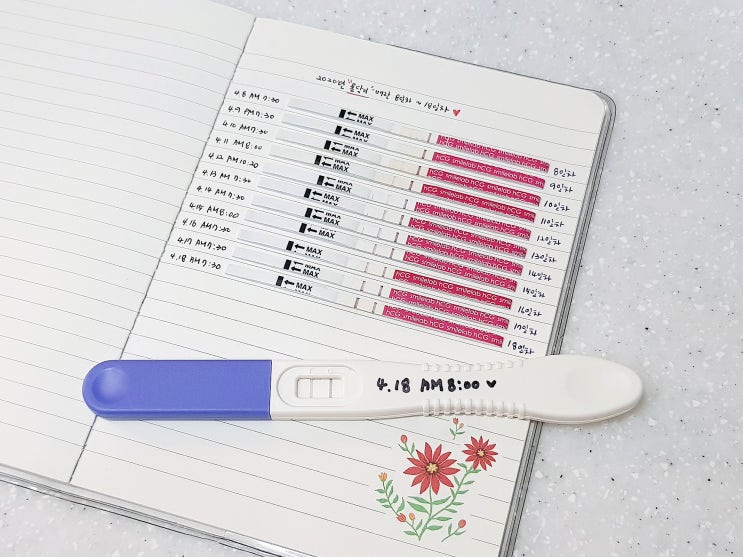  임신테스트기 사용시기, 배란 8일 희미한두줄 ~ 배란 18일까지 진하기 비교!!