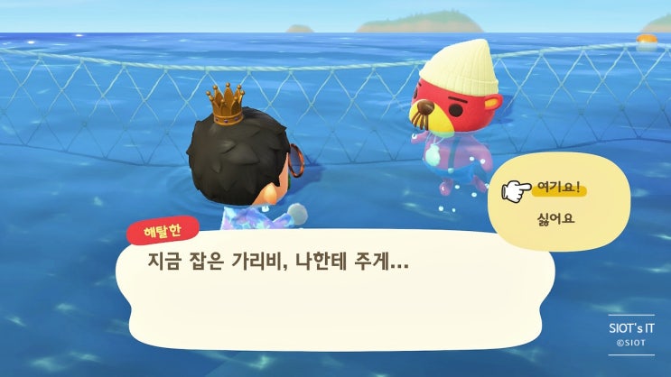 모동숲 동물의 숲 잠수 업데이트(가리비의 용도, 진주 조개는? / 해탈한 등장!) 모동숲 동물의 숲 잠수 업데이트(가리비의 용도, 진주 조개는? / 해탈한 등장!)