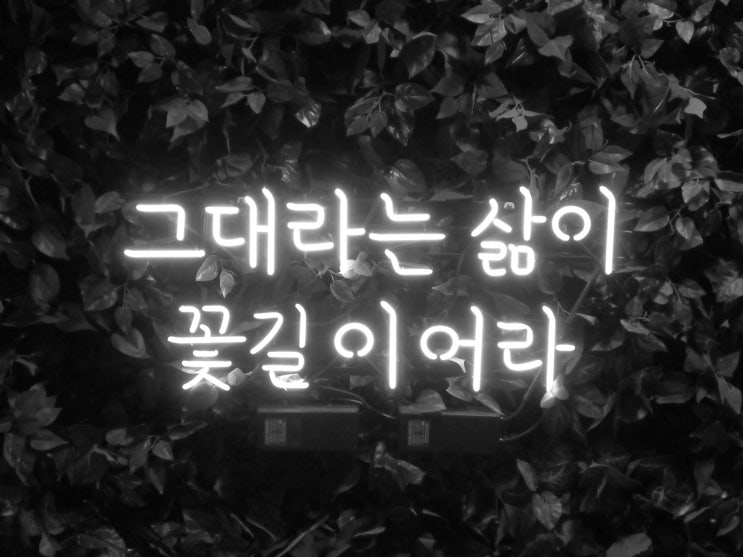  자식 사주상담.(자식의 가능성..)
