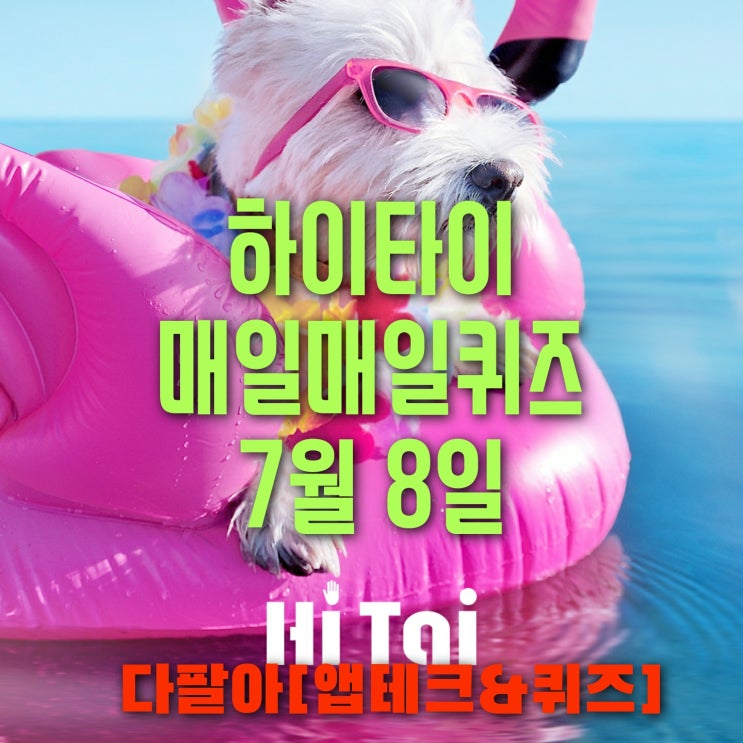  하이타이 매일매일 퀴즈 7월8일 정답 및 참여 방법