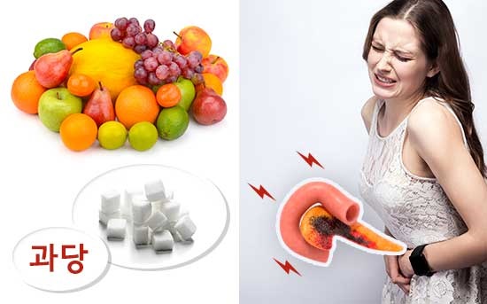 완전 과일 다이어트가 건강에 해로운 이유 – 과당과 췌장암의 관계
