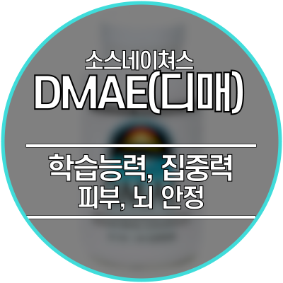  DMAE(디메틸아미노에탄올) - 영양제로 IQ 올리는 게 가능해?