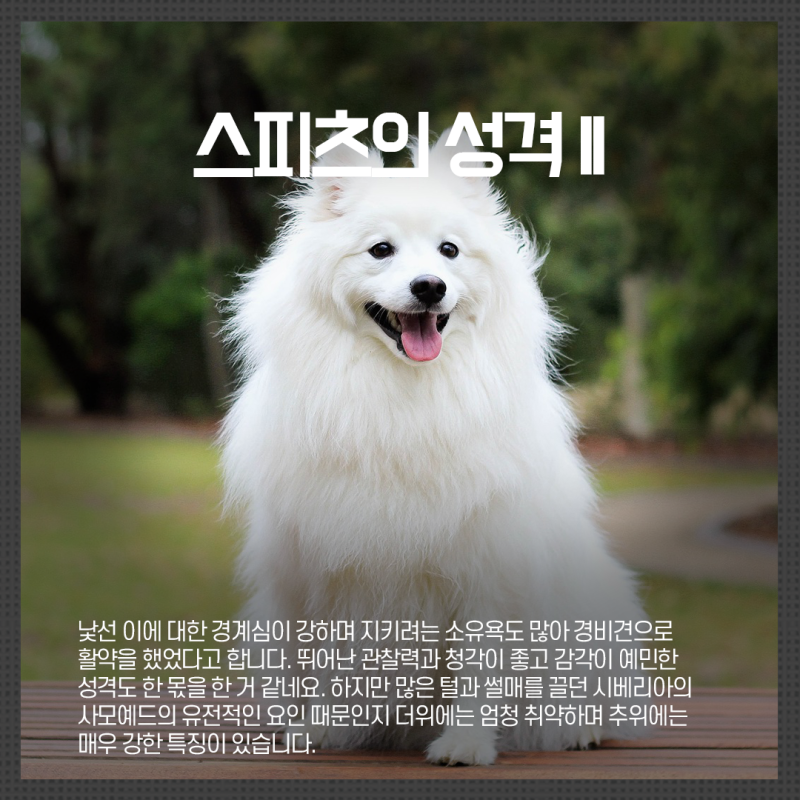 양아치의 스피치 - 네온비, 김인정