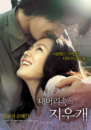  영화 내 머리 속의 지우개 : 기억이 사라지면 영혼도 같이 사라진대요