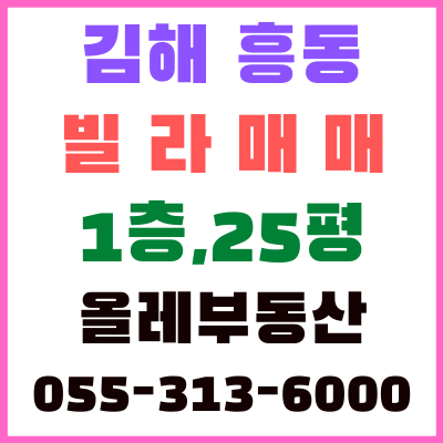  김해 흥동 빌라매매,김해 흥동 부동산