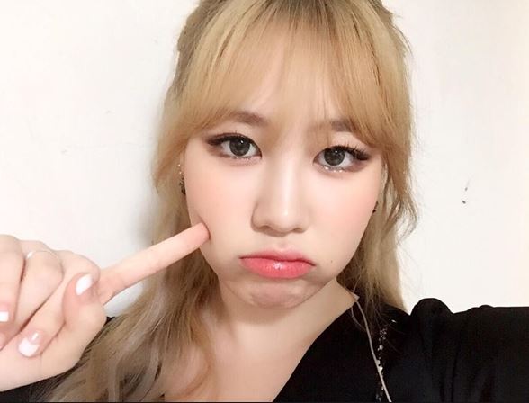  제이미 갑자기 왜 뜬거지? 제이미 이미지가..