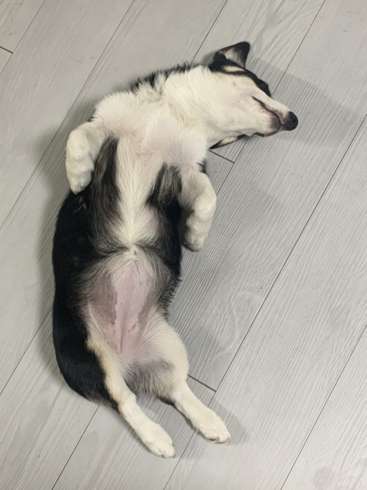  별이 사진 모음