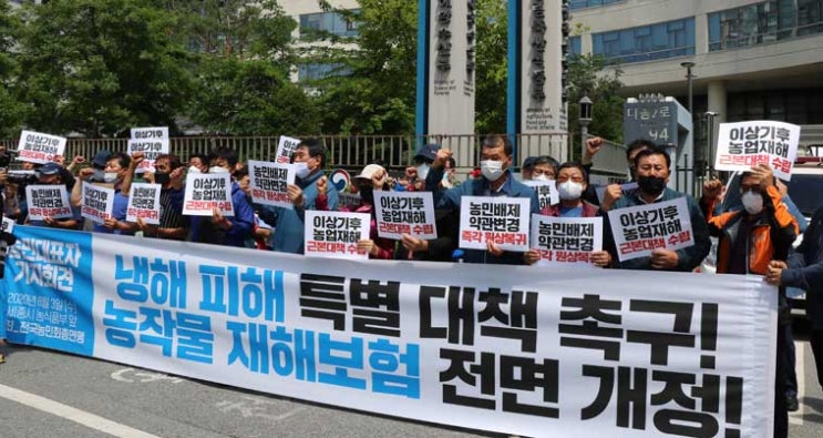 사상최악의 냉해 피해···일방적 보상률 축소··· 커지는 농민 분노 사상최악의 냉해 피해···일방적 보상률 축소··· 커지는 농민 분노