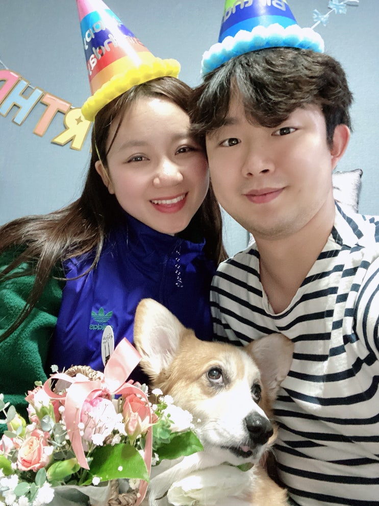 웰시코기 곰이와 함께한 1월 웰시코기 곰이와 함께한 1월