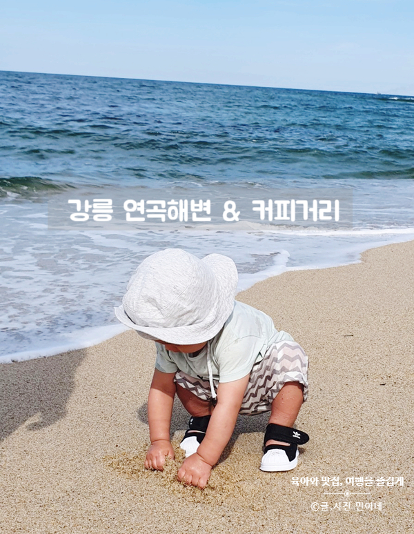  강릉 연곡해변과 커피거리 당일치기로 즐겁게!(@솔향기캠핑장)