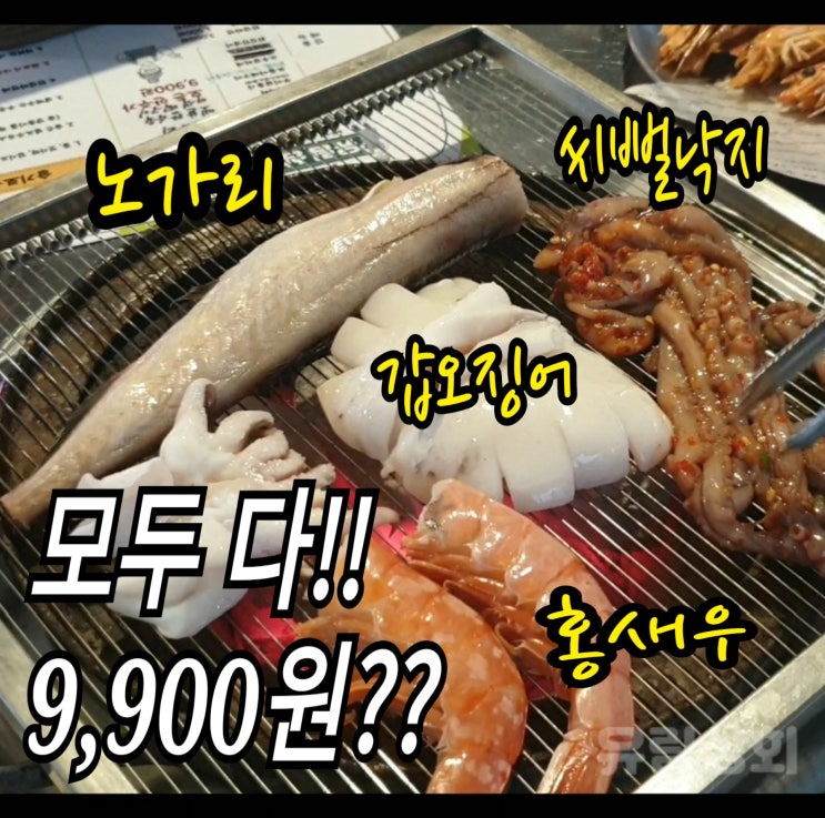 [논현동/해물포차] 이렇게 신선한 해물들이 오직 9,900원??? 유림상회 미쳤네!!