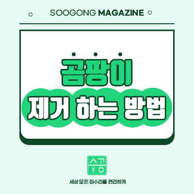  곰팡이 제거하는 방법 알려드려요!