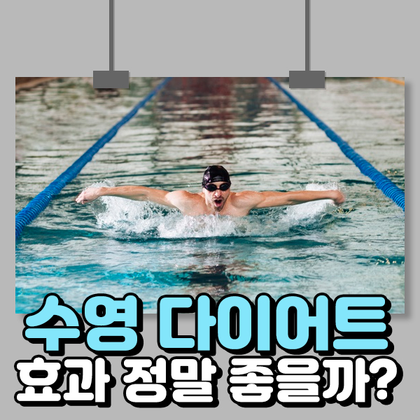  수영 다이어트 효과 정말 좋을까?