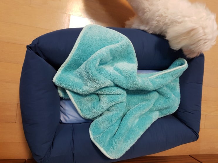  아르르 꿀잠 방석, 펫 타월, 논슬립계단(댕댕이 라이프스타일 업그레이드)