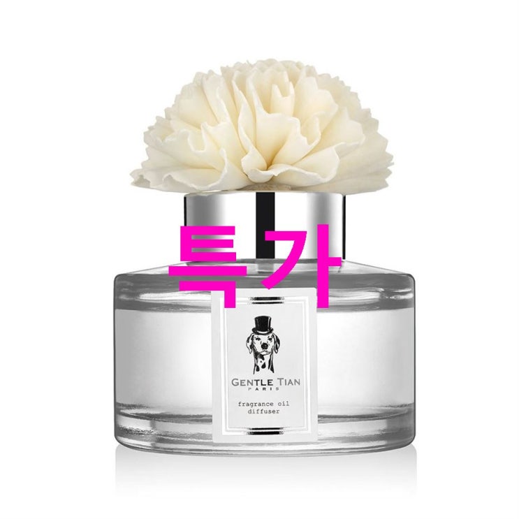 금주 TOP5상품 젠틀티안 차량용 디퓨저 100ml 본품 꽃스틱 논슬립패드 패키지박스! 생생 후기들 금주 TOP5상품 젠틀티안 차량용 디퓨저 100ml 본품 꽃스틱 논슬립패드 패키지박스! 생생 후기들