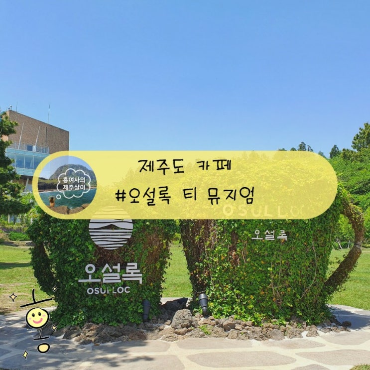 「제주도, 서귀포」 녹차를 좋아한다면 제주 오설록 티 뮤지엄 「제주도, 서귀포」 녹차를 좋아한다면 제주 오설록 티 뮤지엄