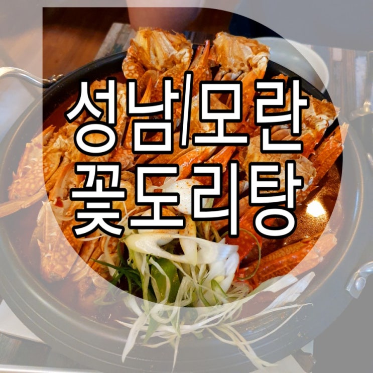  [성남/모란] 닭도리탕 맛집 '도비네꽃도리탕'