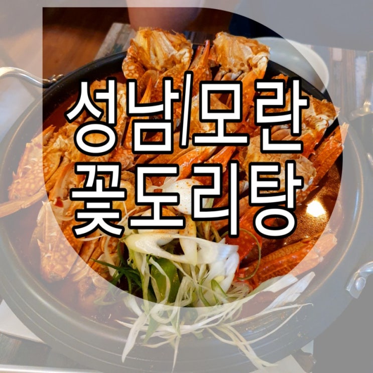   [성남/모란] 닭도리탕 맛집 '도비네꽃도리탕'