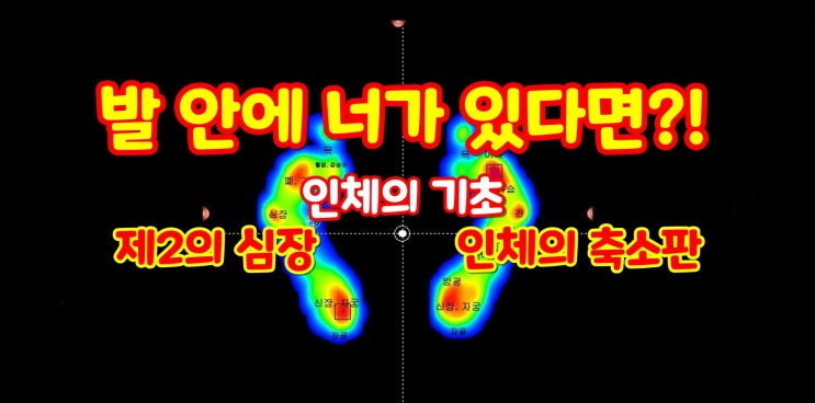 건강기능성 신발 깔창 24HRS 교정기능 검증 후 구매하는 세계 유일 신발
