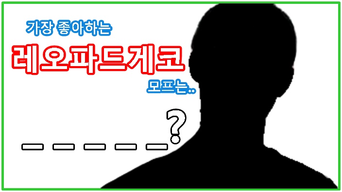  |ZKR| 레오파드게코 해외 브리더 인터뷰 내용
