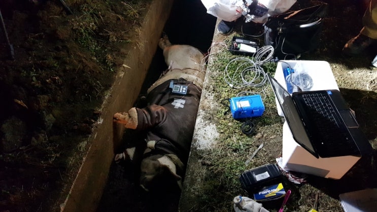 제주 보육교사 강간살인 무죄 다크웹 손정우 석방 성범죄자 관대한 대한민국의 민낮 제주 보육교사 강간살인 무죄 다크웹 손정우 석방 성범죄자 관대한 대한민국의 민낮