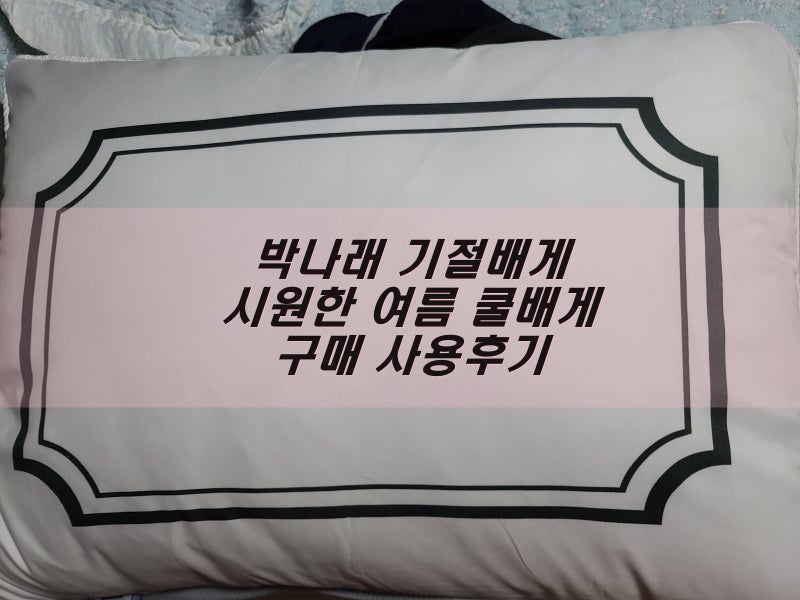 박나래 기절베개 - 시원한 여름 쿨베개 구매 사용후기