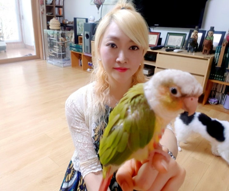  키우기 쉬운 애완동물 안빈낙도 변정은 화가