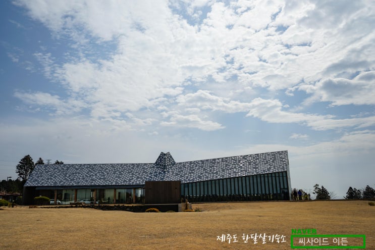  세계적인 건축가 '이타미준' 뭔가 다르네 "방주교회" [제주도 한달살기 숙소 씨사이드 이든 추천]