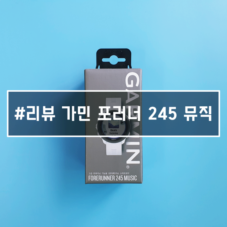  가민 포러너 245 뮤직, 6개월 사용한 내돈내사 리뷰!