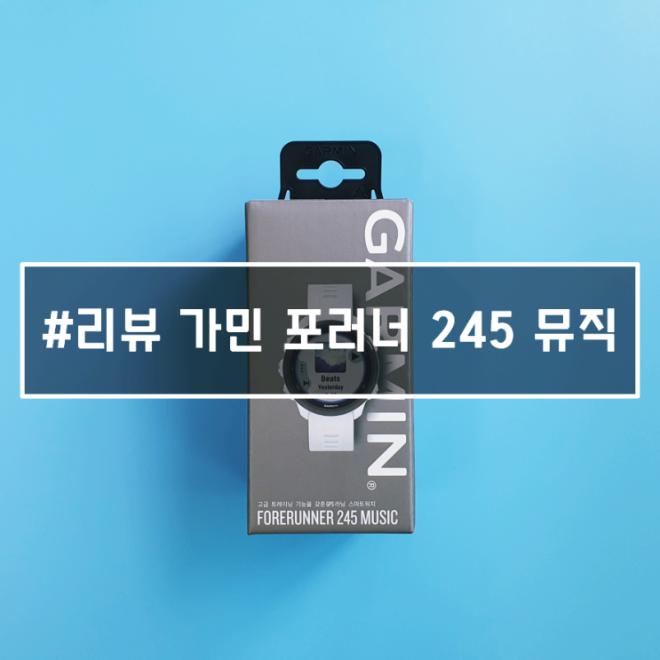 가민 포러너 245 뮤직, 6개월 사용한 내돈내사 리뷰!