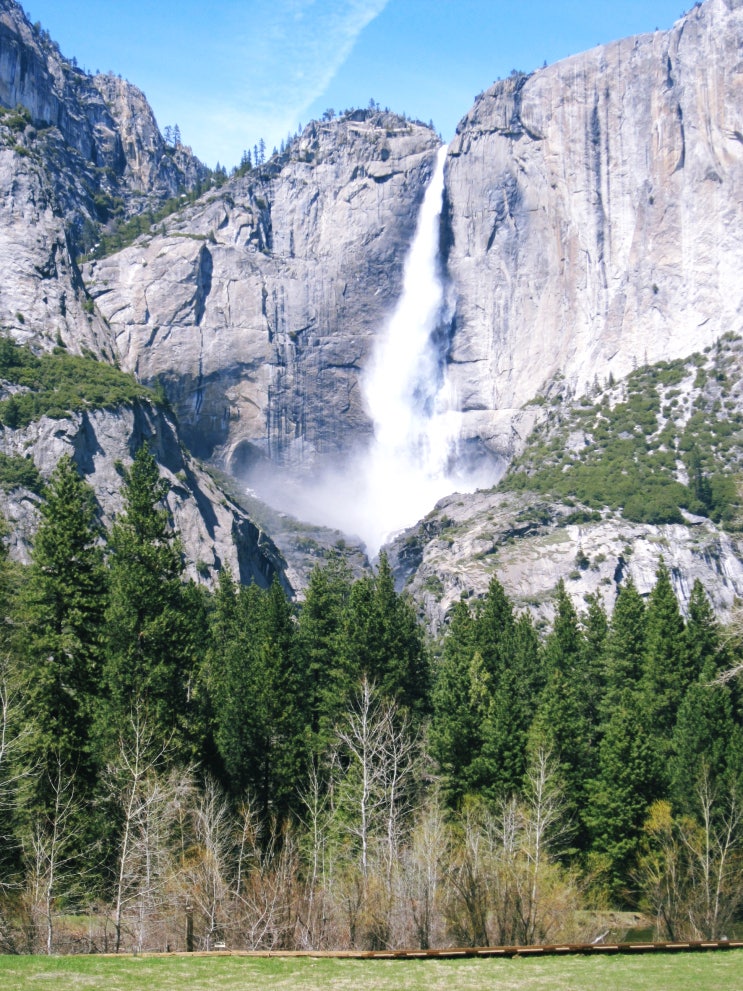  Yosemite Best 8-6. Yosemite Falls | 요세미티 국립공원 당일치기
