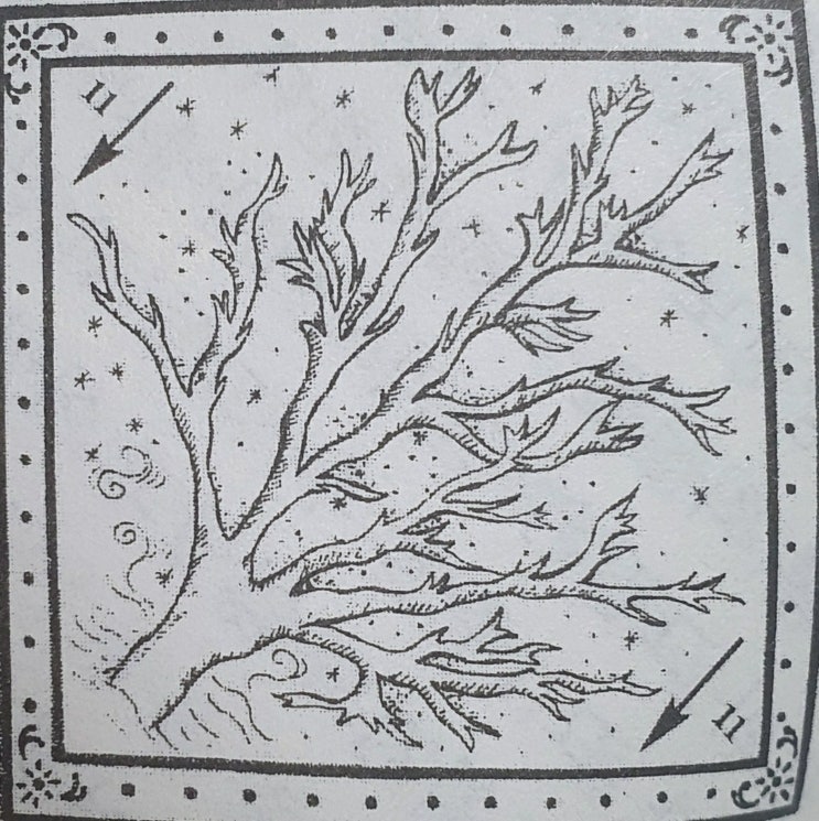  11. 나뭇가지(BRANCHES)의 참된 의미